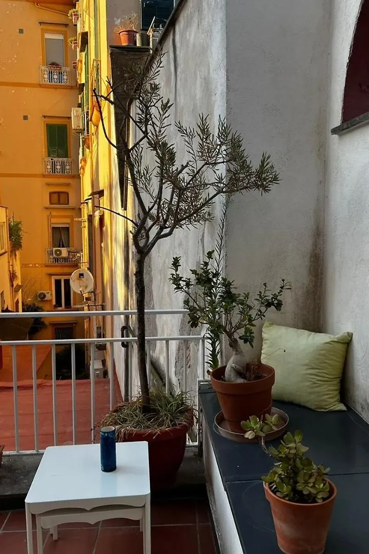 Residenza San Teodoro Chiaia Dimora Storica Apartment Naples